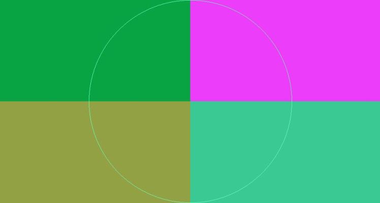 Facilisi feugiat quia quis turpis validus.