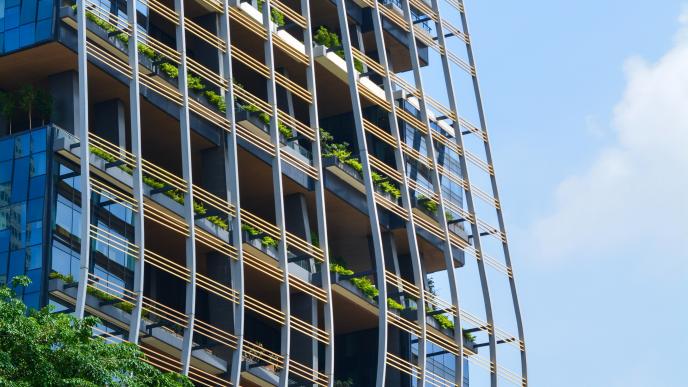 Etiam et rhoncus purus