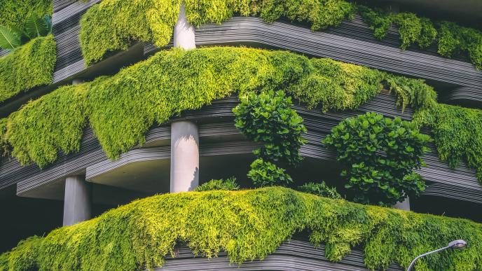 Nullam venenatis quam